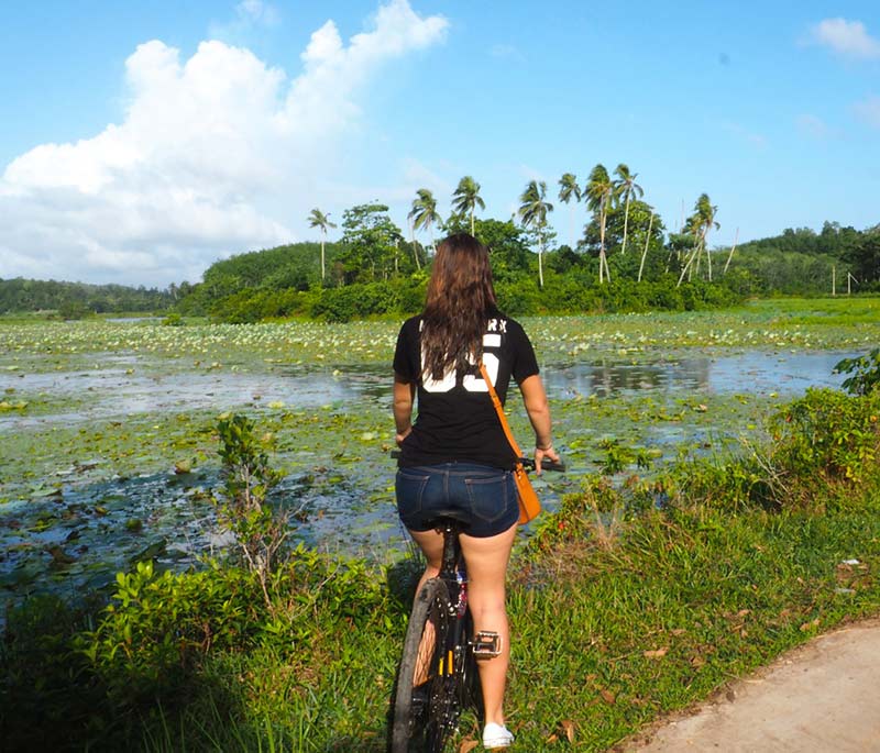 Cycling in the South