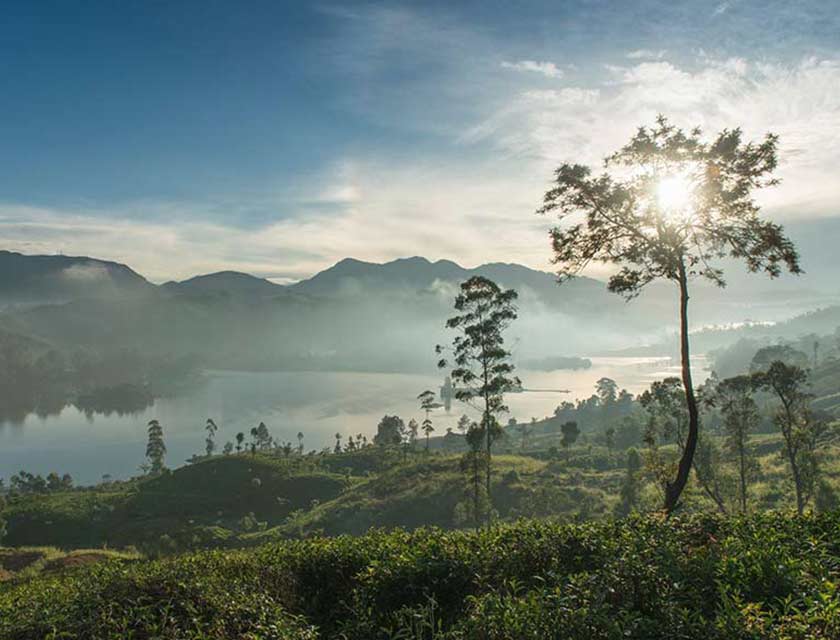 Ceylon Tea Trails Ranked No.1 in World’s Best Resorts: Rest of Asia by Condé Nast Traveller 2024