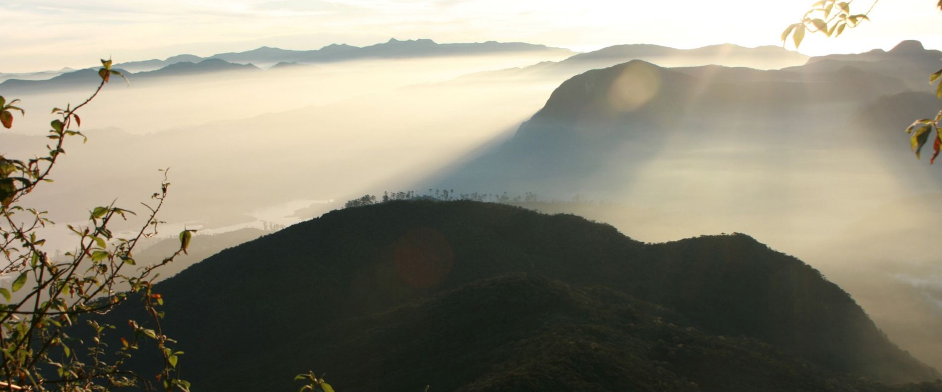 The Best Times to Visit Sri Lanka