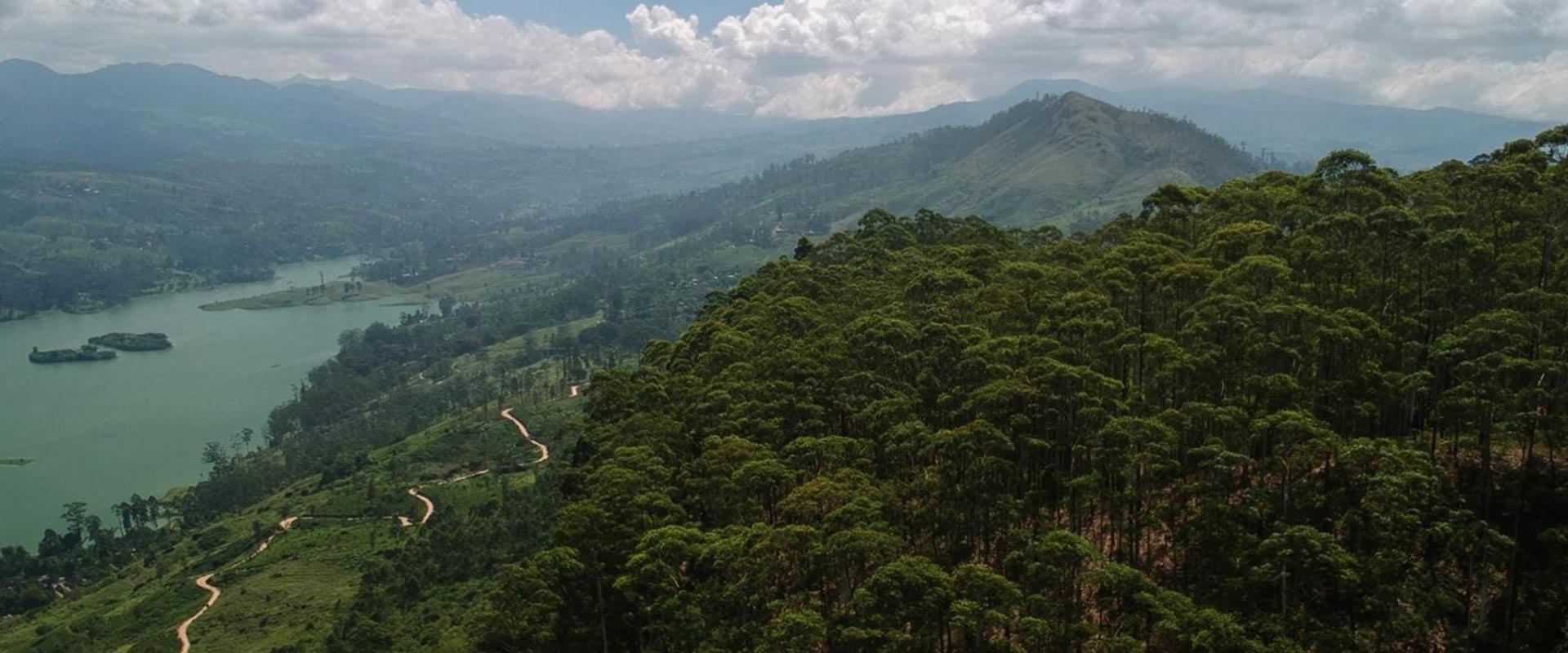 Conserving the Peak Ridge Forest Corridor