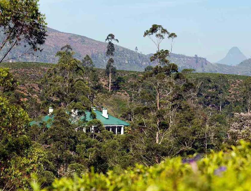 Ceylon Tea Trails Ranked No.1 in World’s Best Resorts: Rest of Asia by Condé Nast Traveller 2024