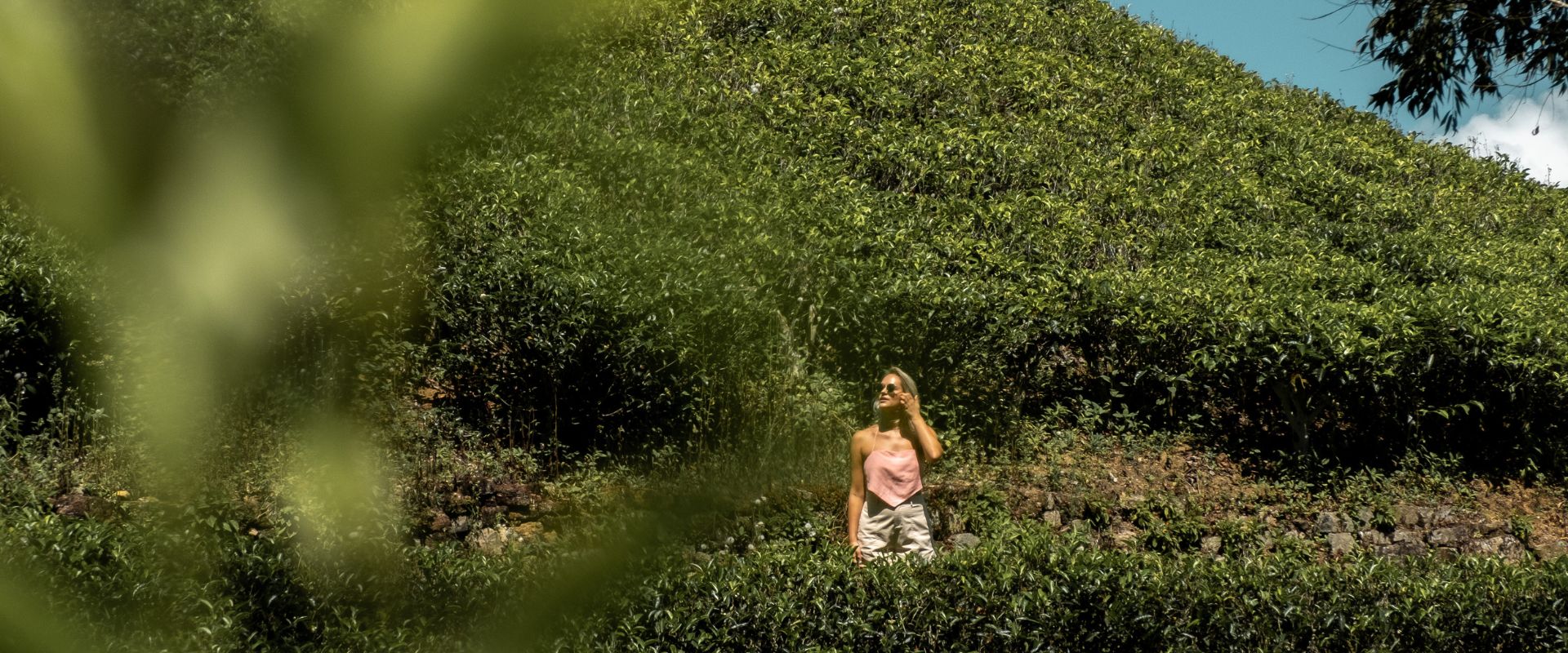 A Walk in Nature