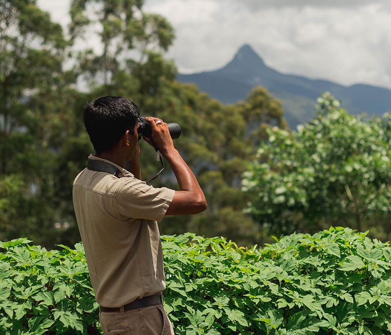 Adam’s Peak Ascent