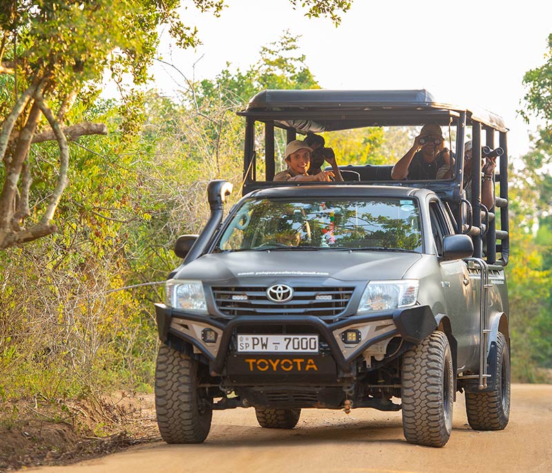 Exclusive Game Drive & Jungle Afternoon Tea