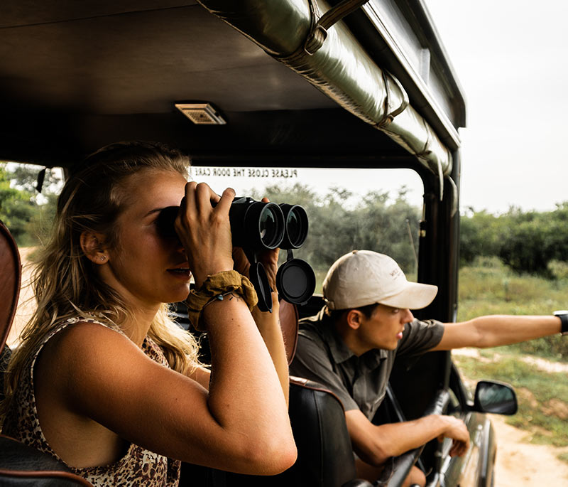 Game Drives