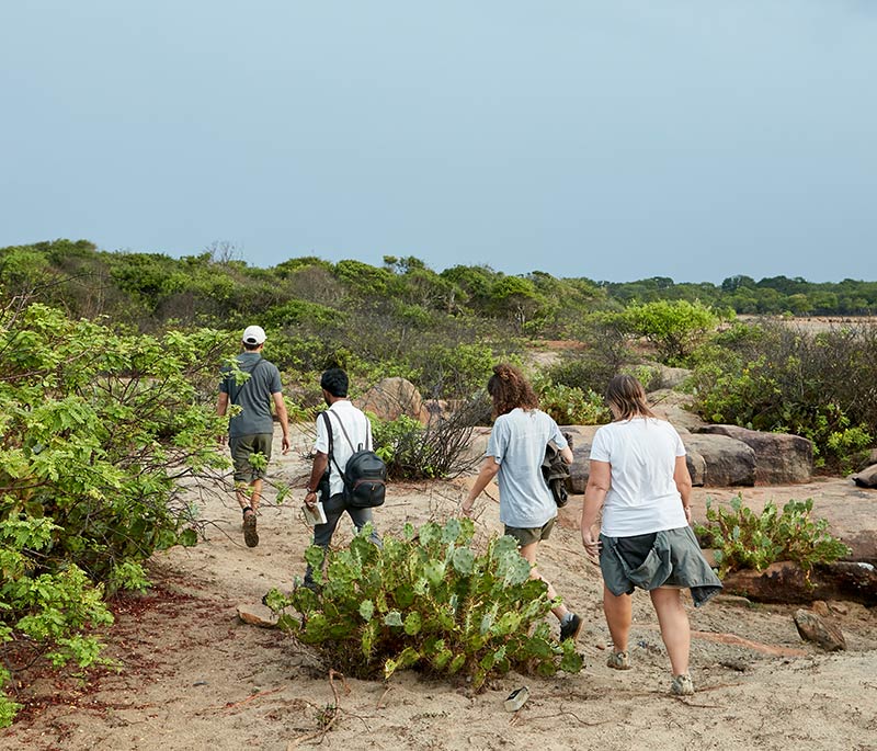 Guided Nature Walk