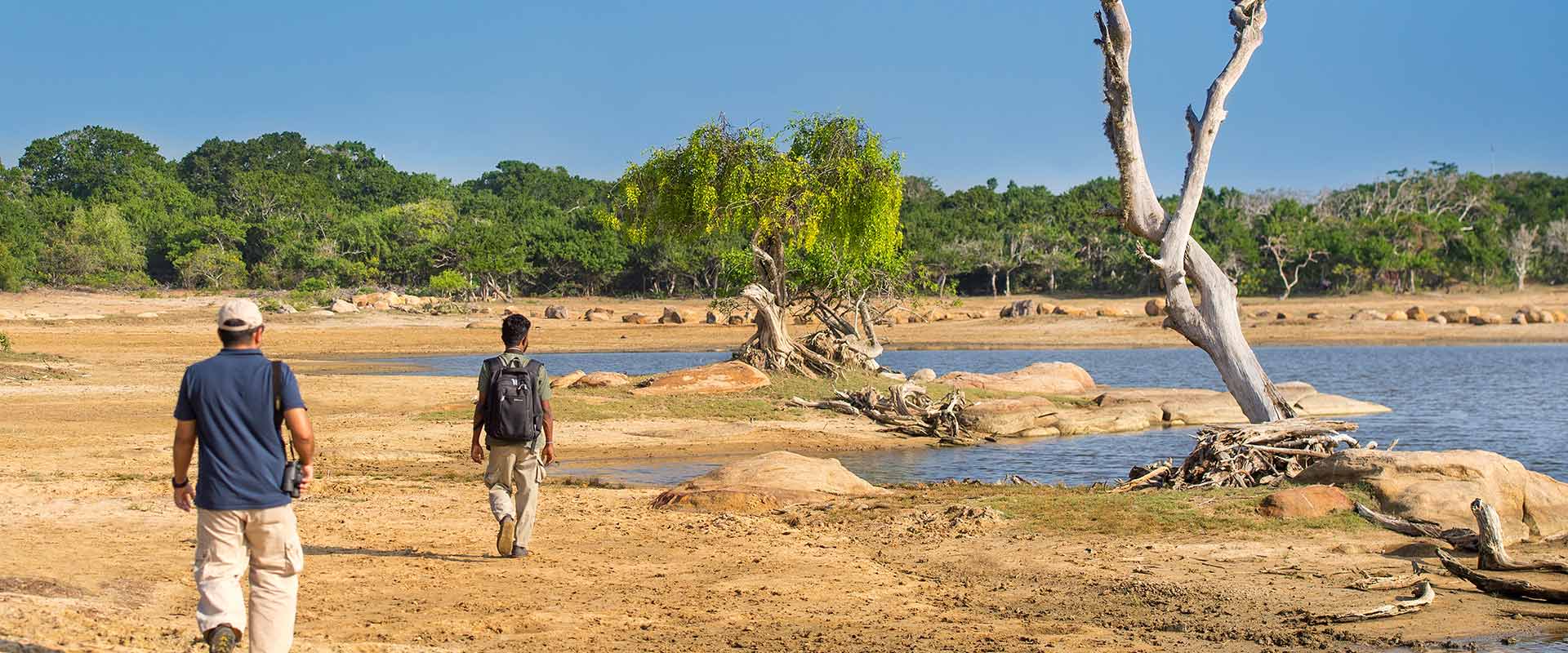 Guided Nature Walk