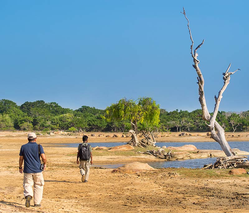 http://legacy.resplendentceylon.com/wildcoastlodge-yala/wp-content/uploads/sites/4/2022/01/Guided-Nature-list-800x685-1.jpg