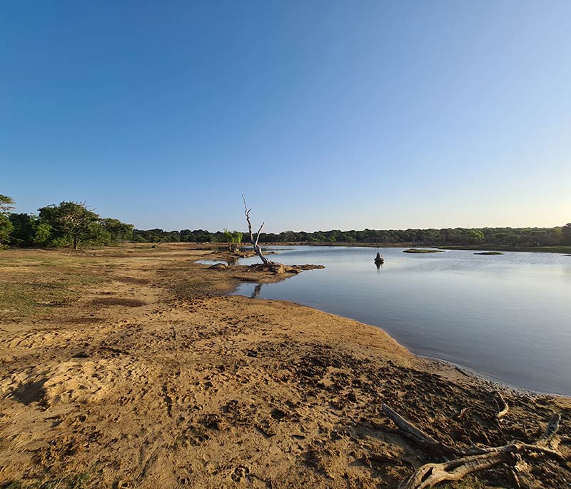 Guided Nature Walk