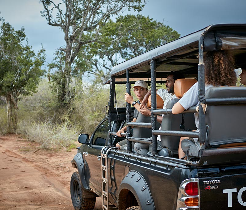 Game Drives