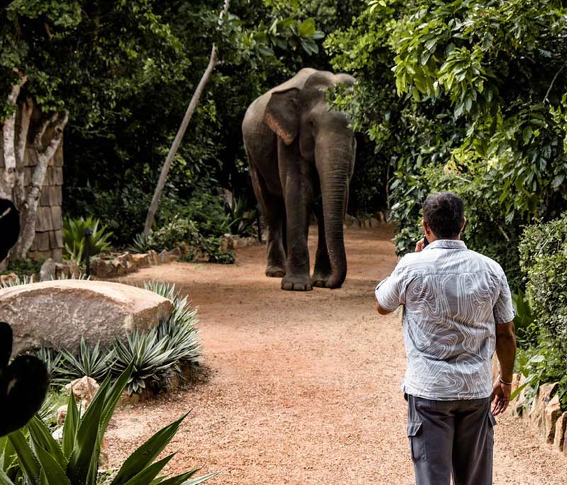 Yala National Park