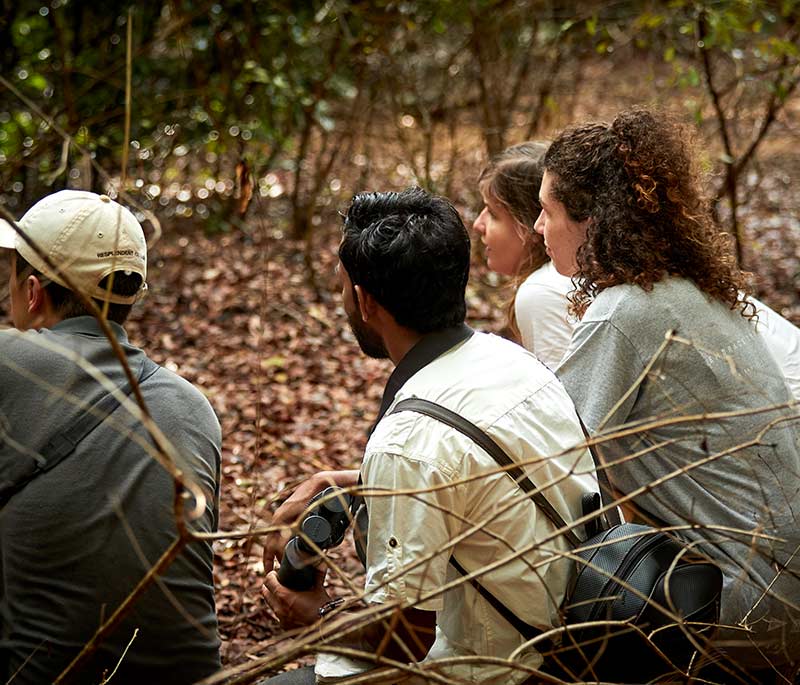 Yala National Park