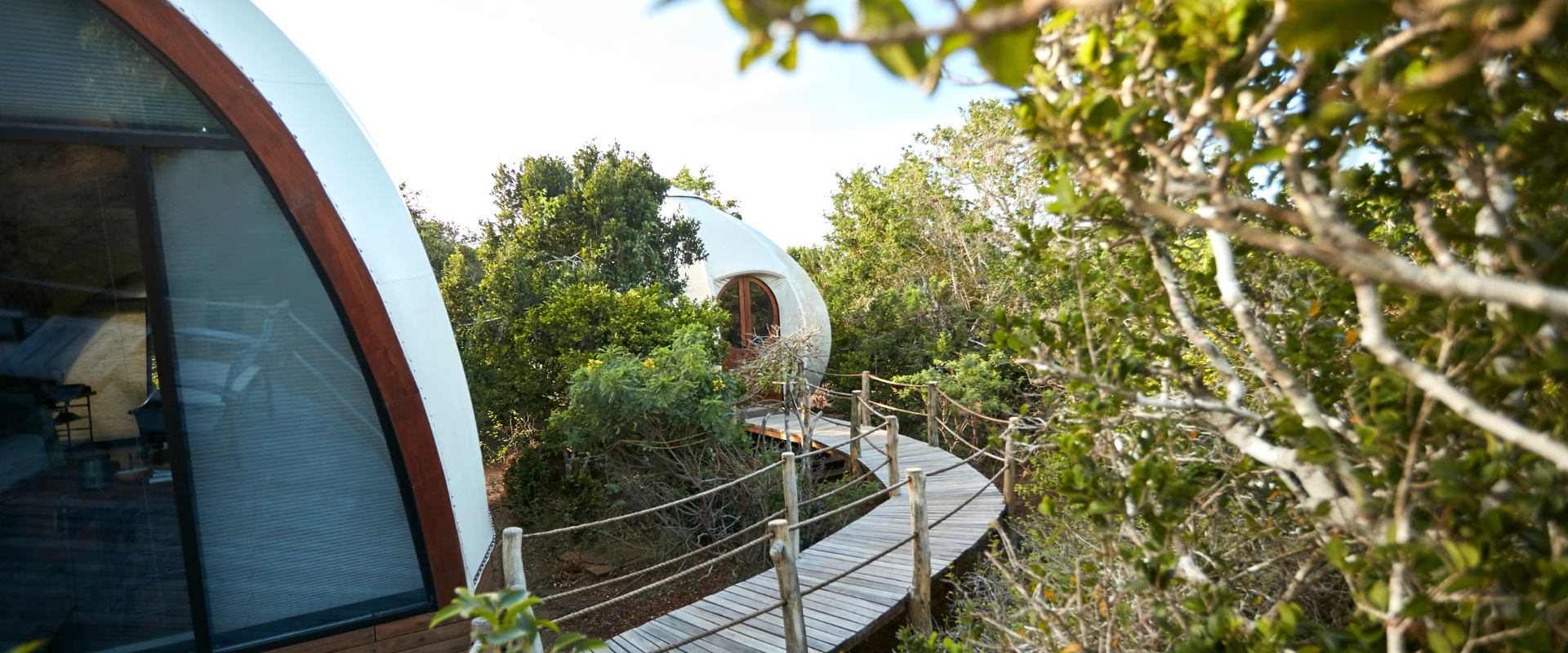 Family Cocoon Pool Suite